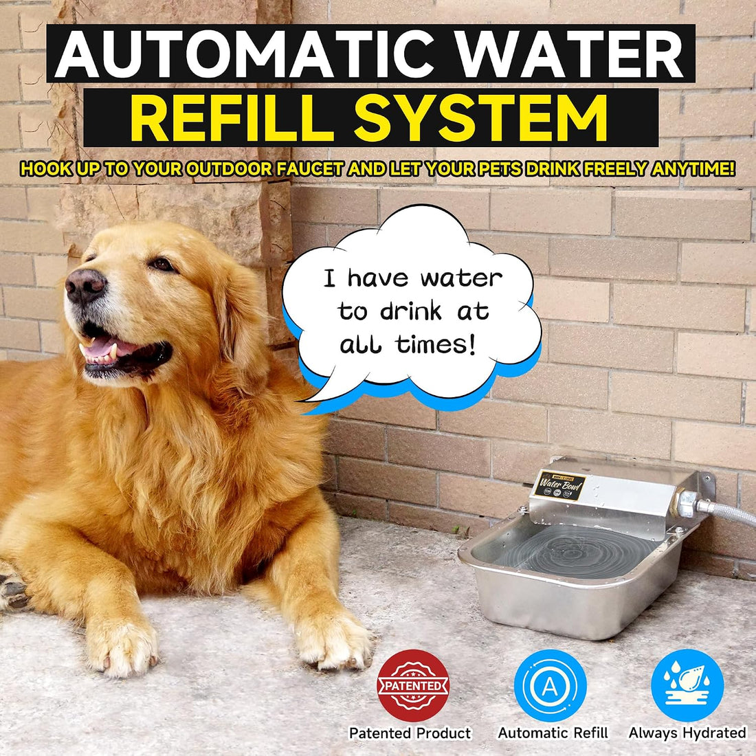 PETIMI Automatic Water Dispenser for Dogs