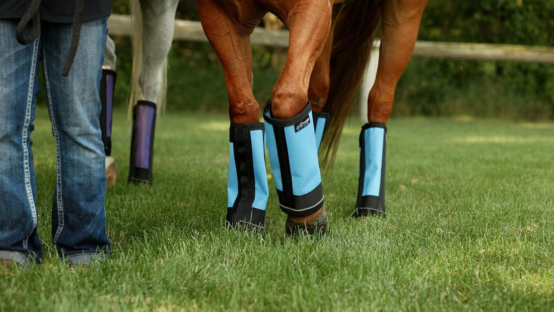 Warrior Fly Boots for Horses