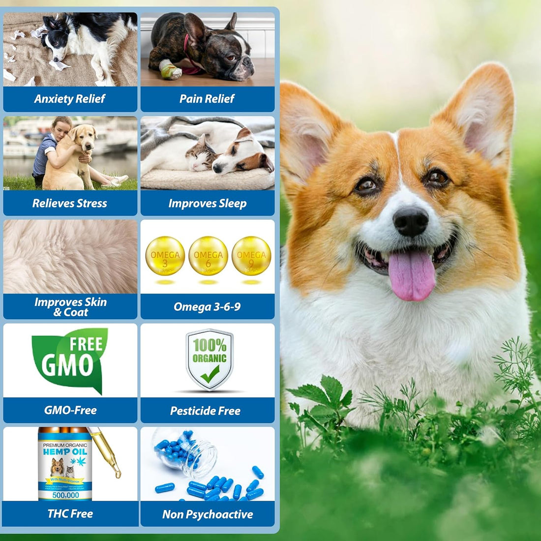 Oil for Dogs & Cats 60ML,Pet Oil for Pain,Skin,Arthritis Pain,Pain