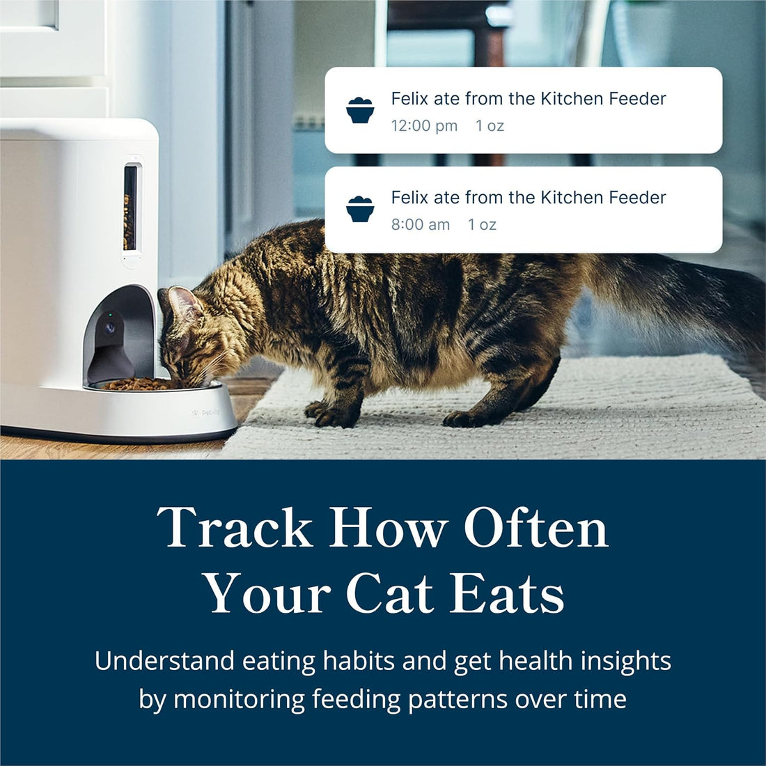 Petivity Smart Feeder for Cats App-Controlled, Multi-Cat Tracking