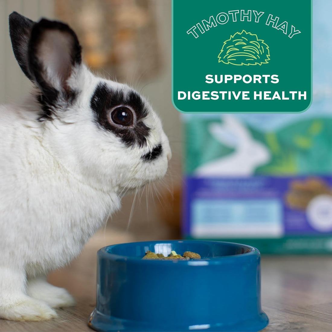 Oxbow Forage Wise Adult Rabbit Food, Bunny Food, Foraging Pellet Mix