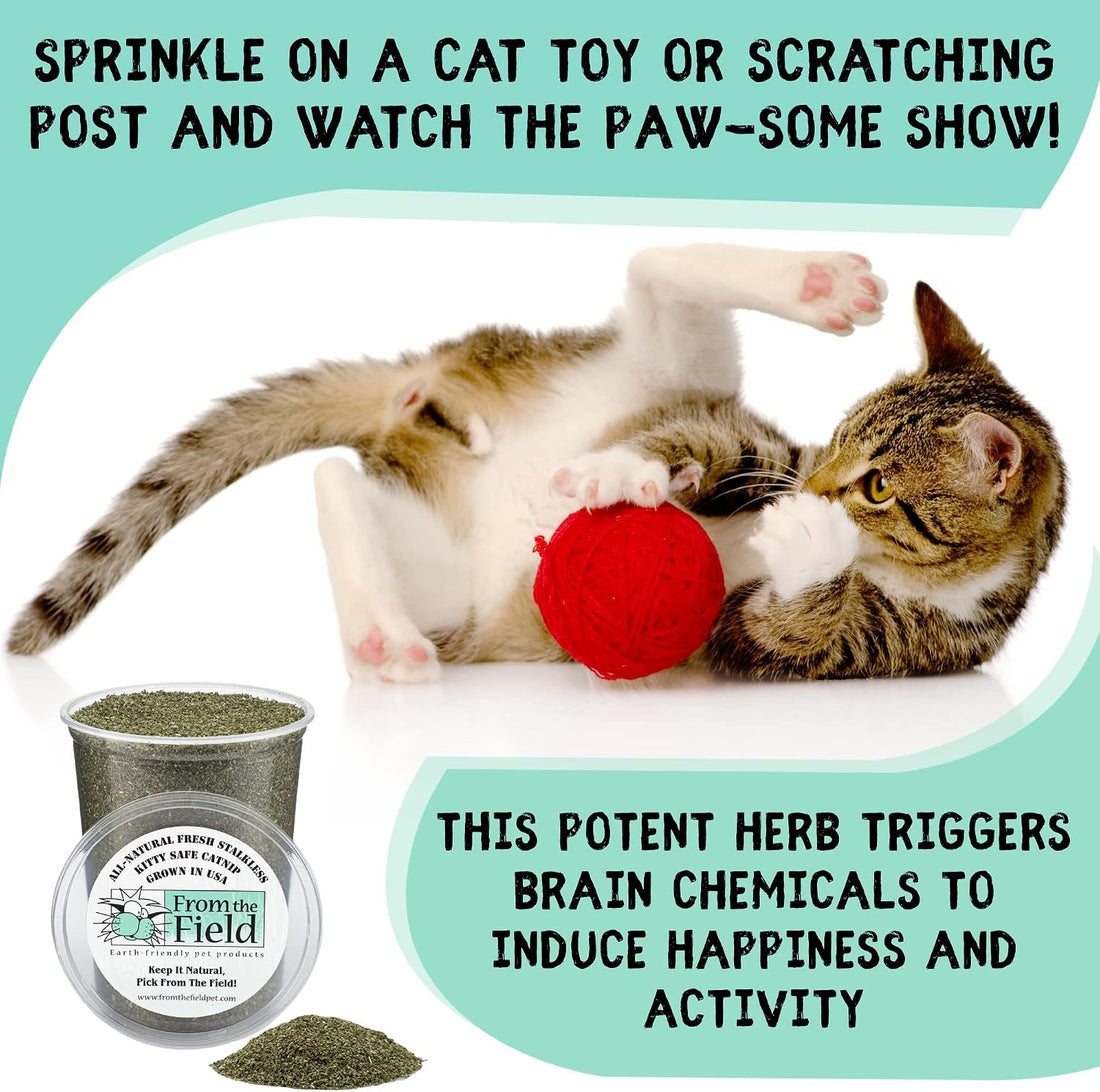 from The Field | Organically Grown Catnip Fine Ground Stalkless
