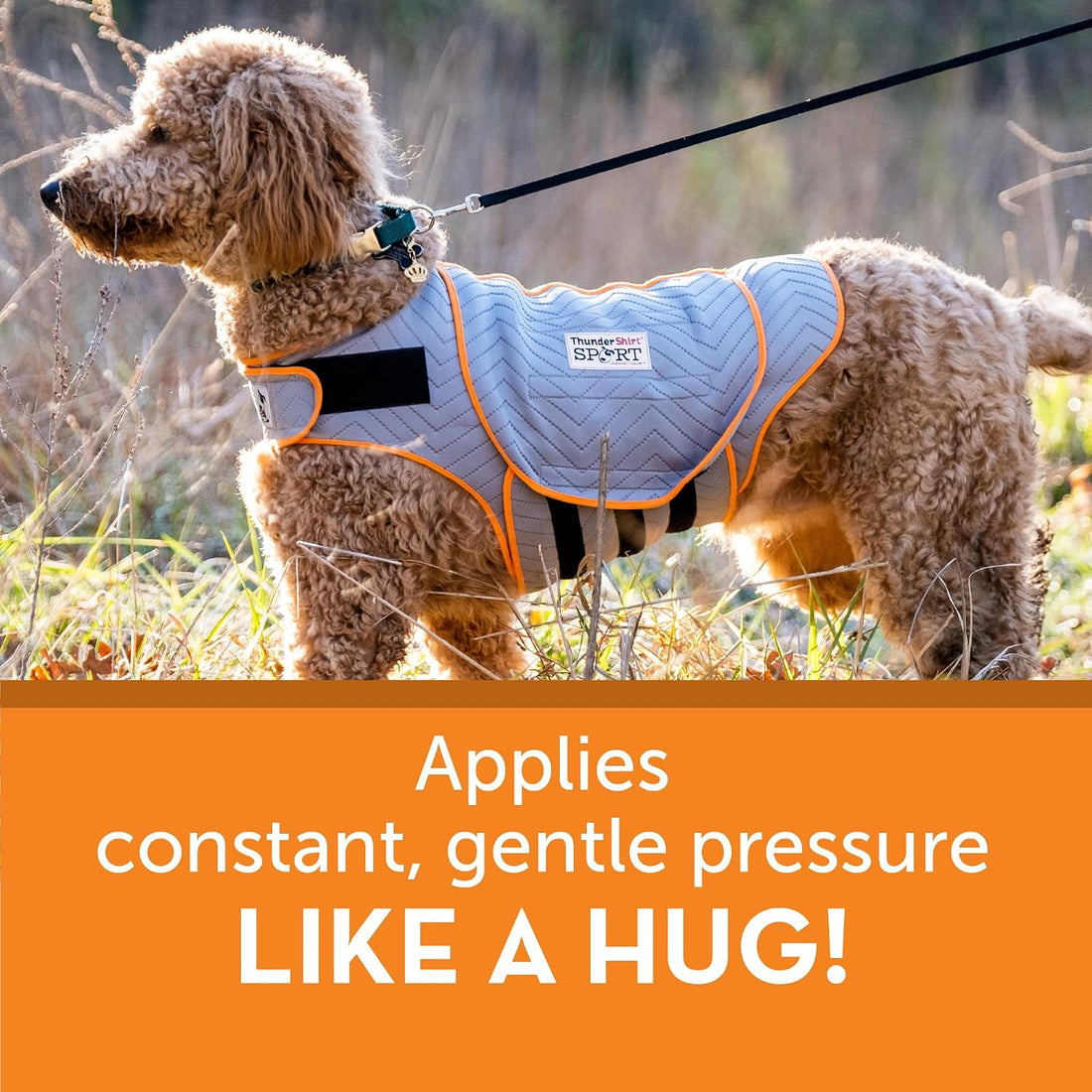 ThunderShirt for Dogs Calming Anxiety Vest, X Large, Platinum Sport