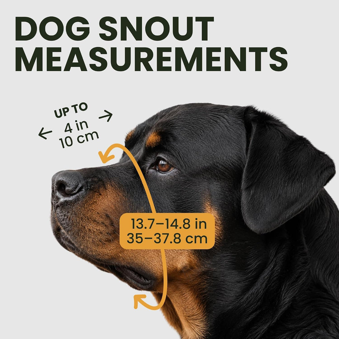 BRONZEDOG Stainless Steel Wire Basket Dog Muzzle for Rottweiler