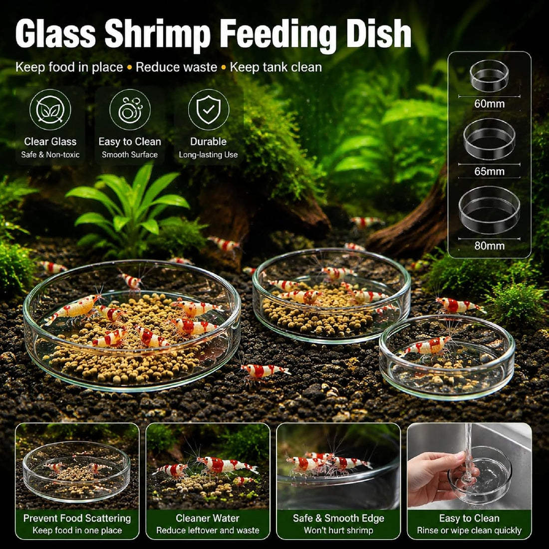 Patelai 3 Pcs Shrimp Feeding Dish, Clear Glass Aquarium Feeder Bowl
