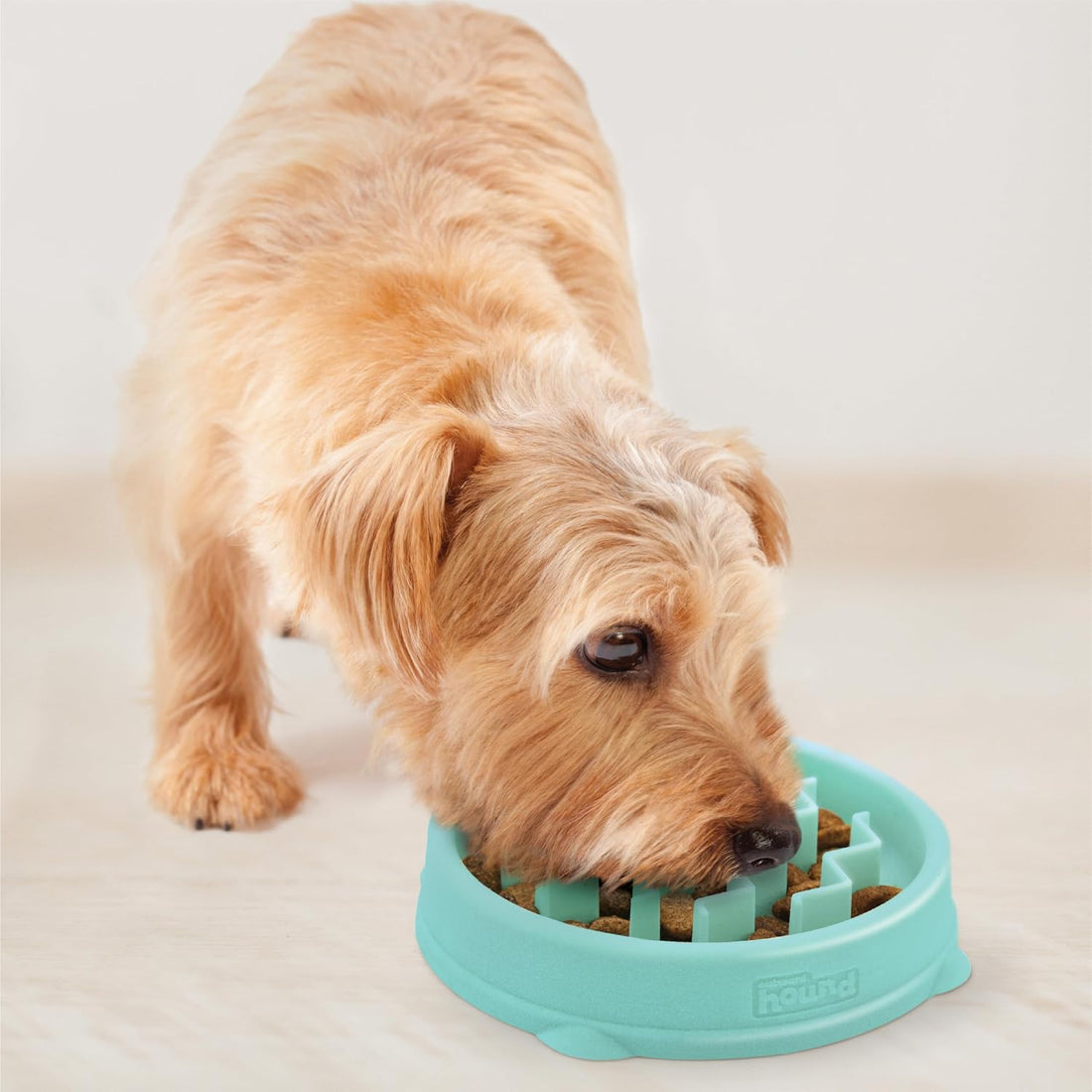 Outward Hound Fun Feeder Slo Bowl Dog Slow Feeder, Wave, Mint, 5.8"