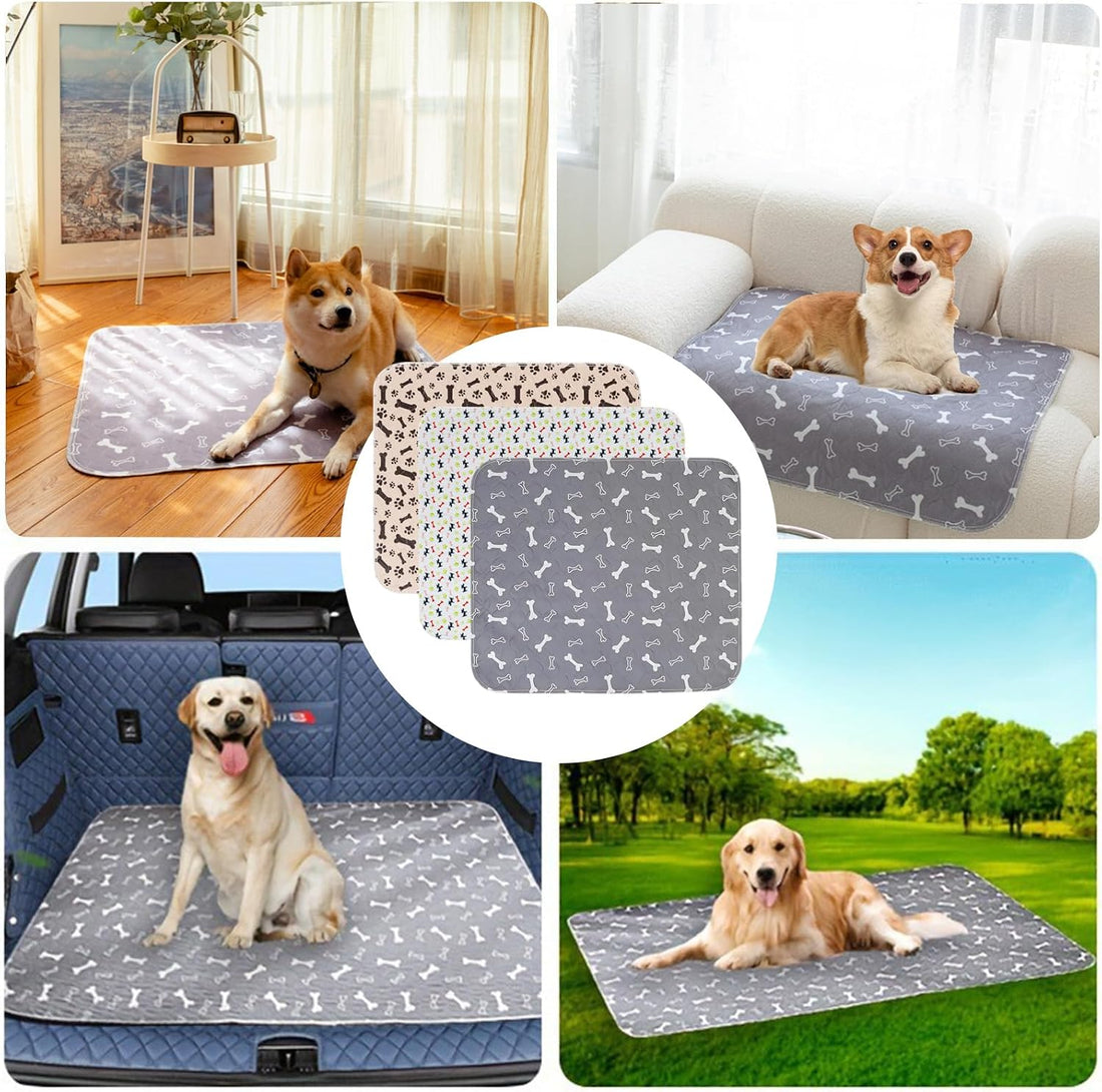 Puppy Pee Pads with Pheromones