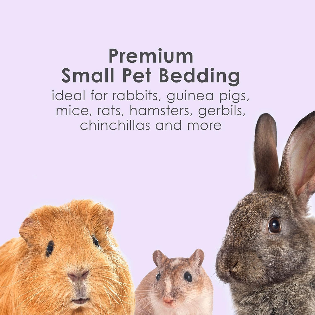 Kaytee Clean & Cozy Lavender Paper Bedding for Guinea Pigs