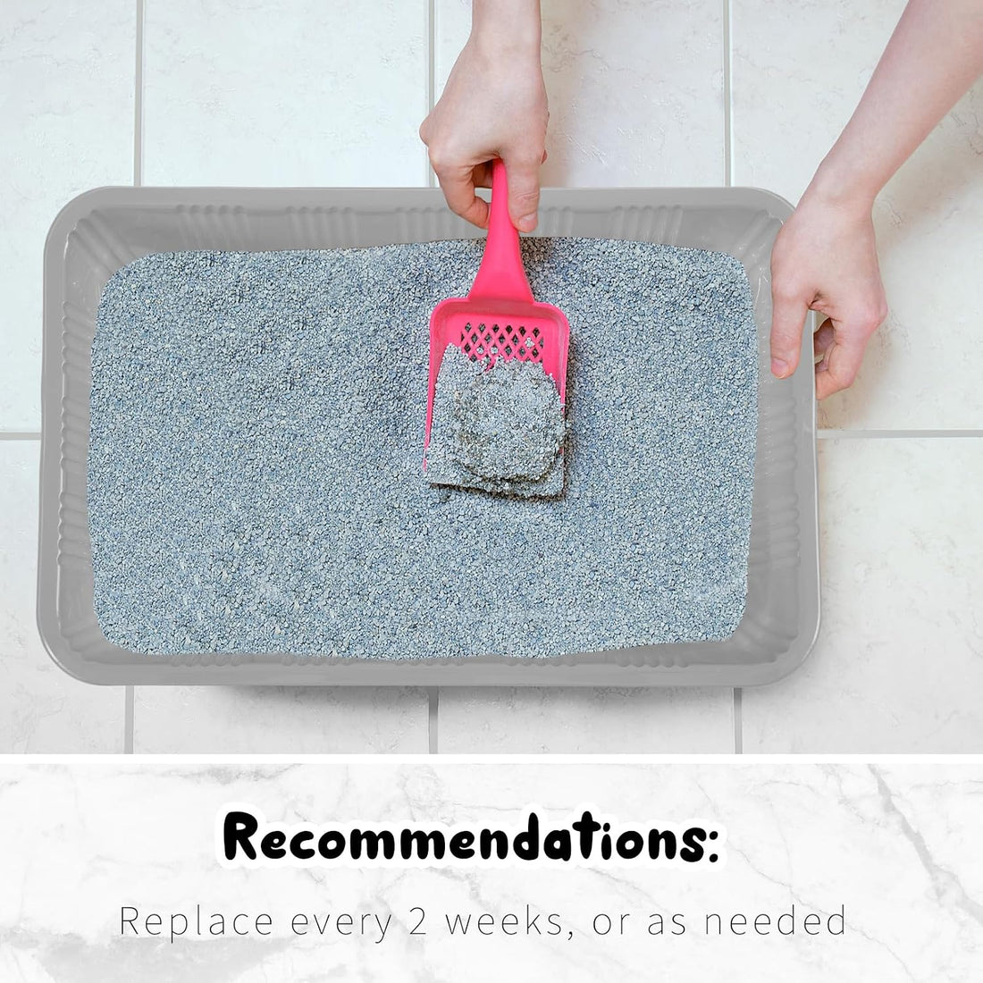 Tessco for You 60 Pack Disposable Litter Boxes for Cats