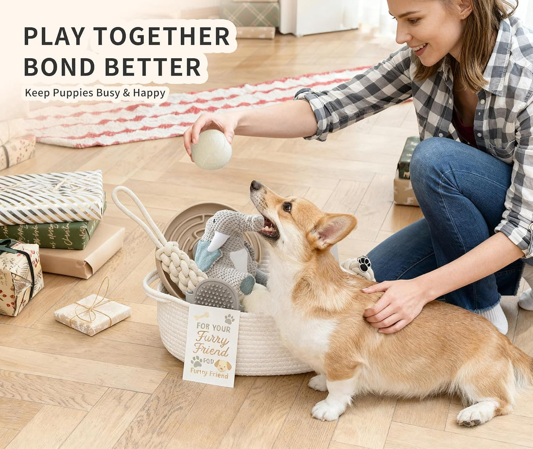 Wanapure Dog Gift Basket – Puppy Starter Kit