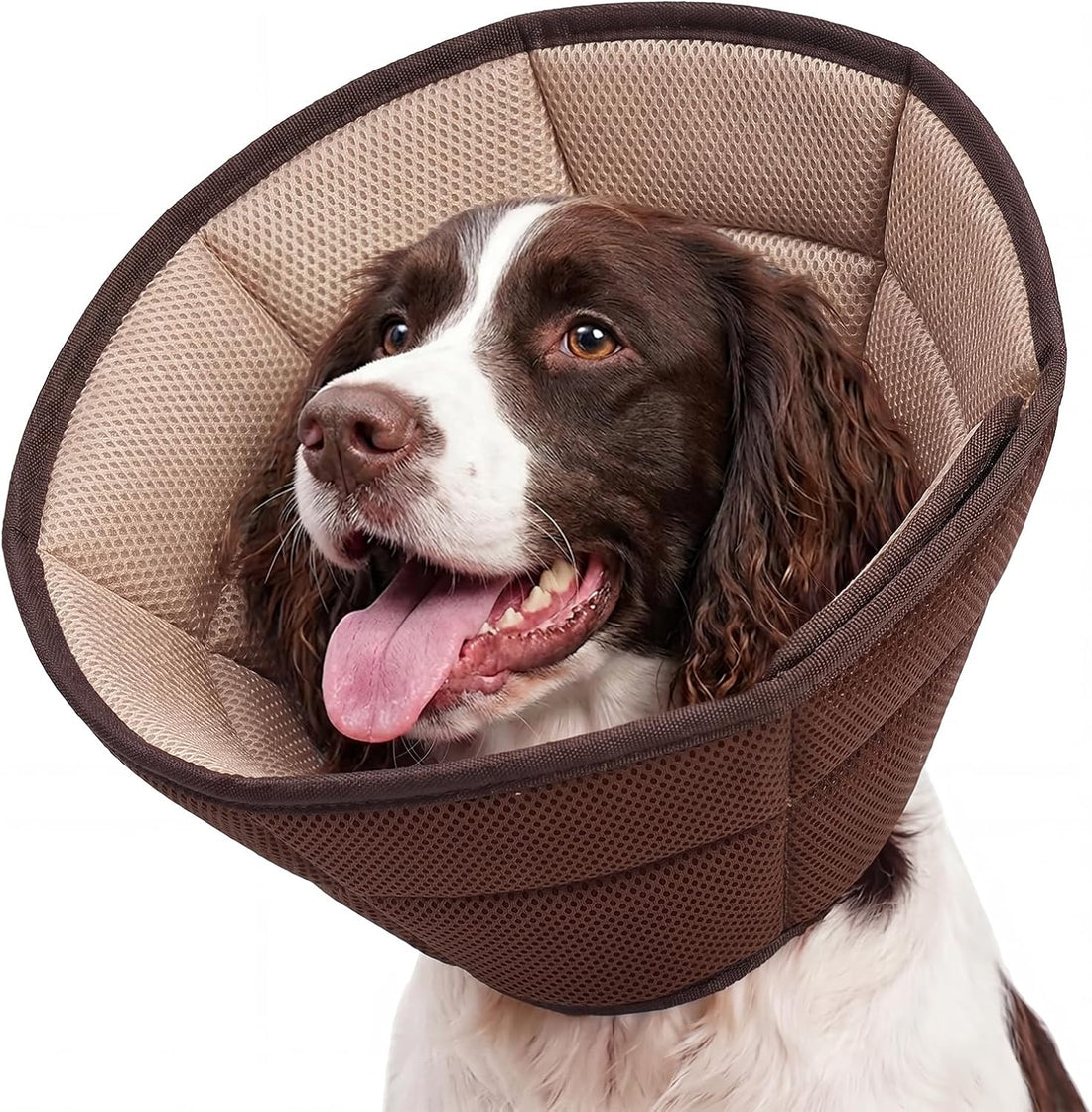 Allroaring Dog Cone Collar After Surgery
