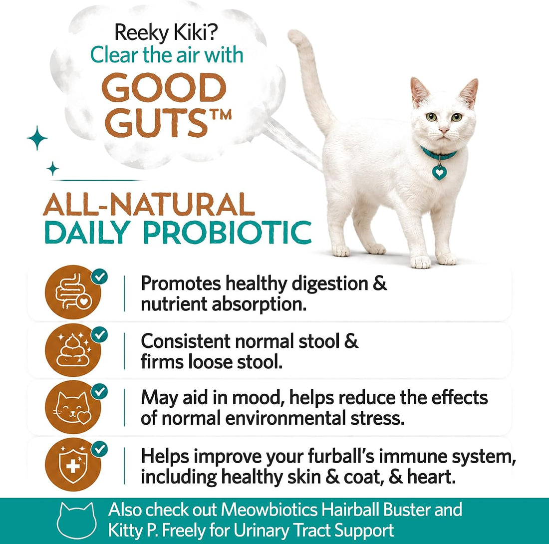 Meowbiotics Good Guts for Cats Probiotic Powder, 11 Probiotic Strains