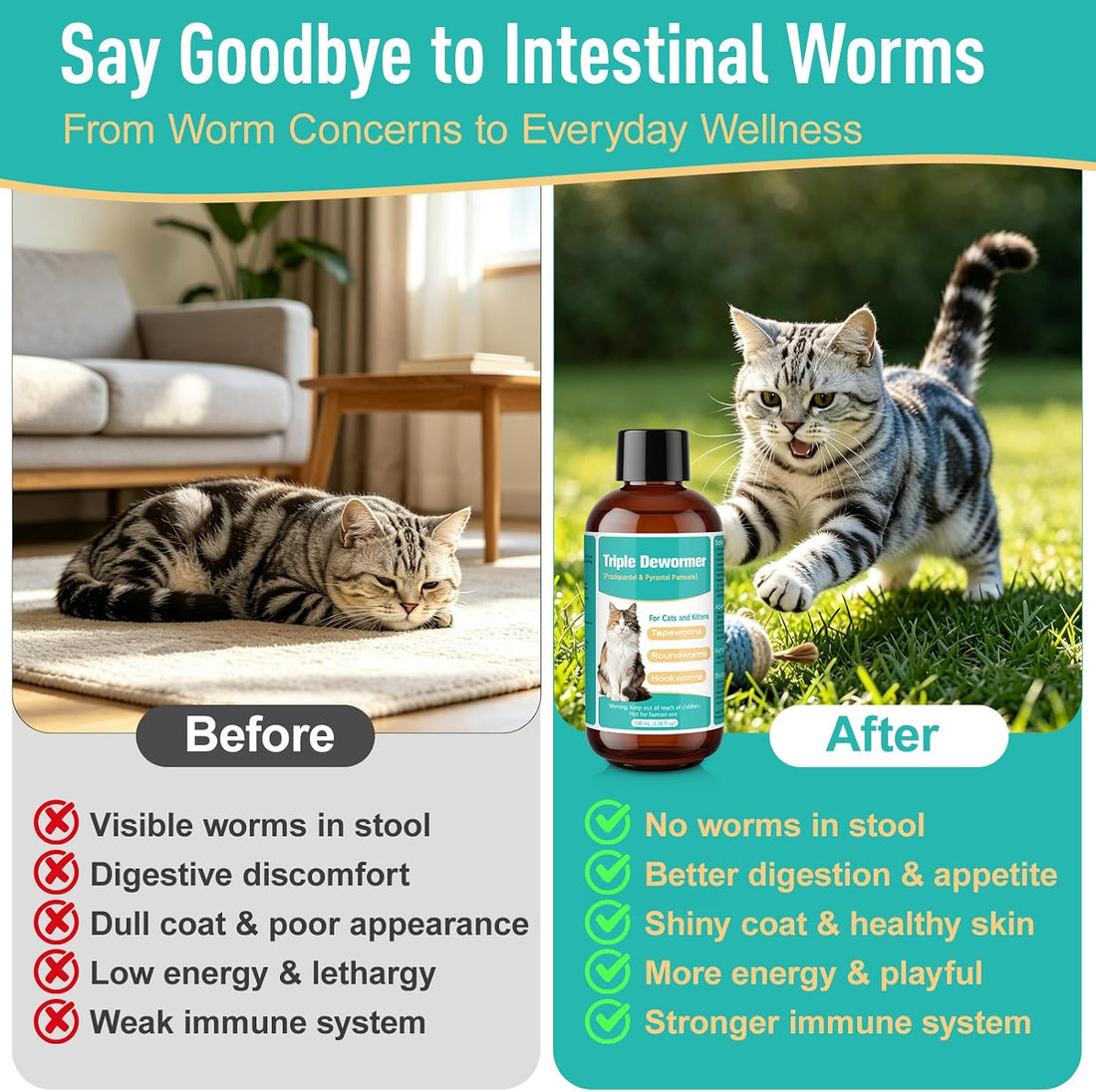 Cat Dewormer Liquid, Triple Dewormer for All Worms