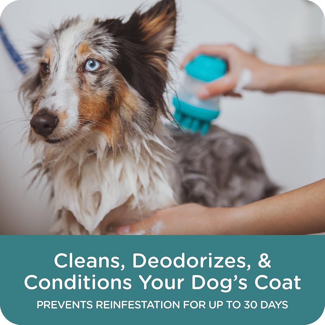 Sergeant's Guardian PRO Flea & Tick Shampoo Dogs, Kills Eggs 30 Days