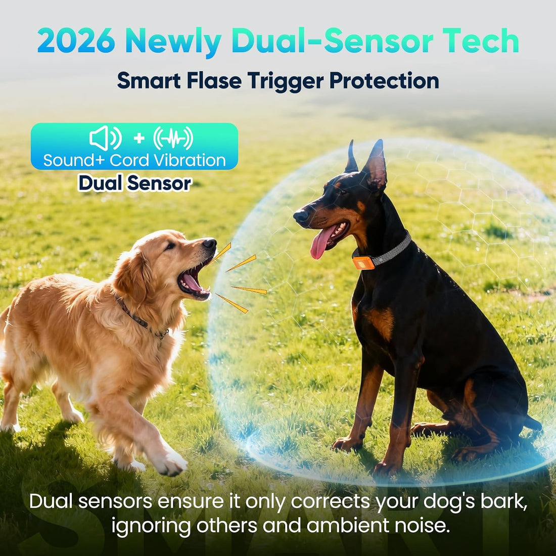 Smart Bark Collar for Large Medium Small Dogs