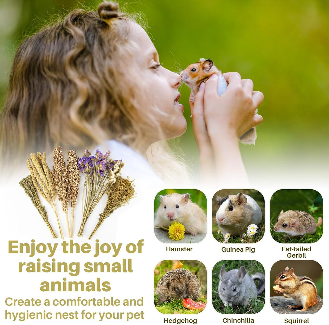 Sukh Natural Hamster Bedding Sprays - Foraging Cage Accessories