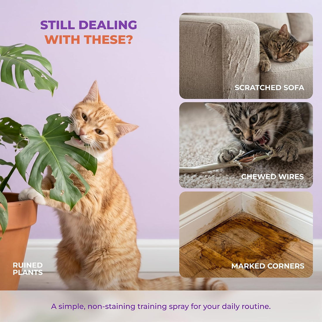 TIOUPI Cat Deterrent Spray – Natural Pheromone-Infused Anti-Scratch