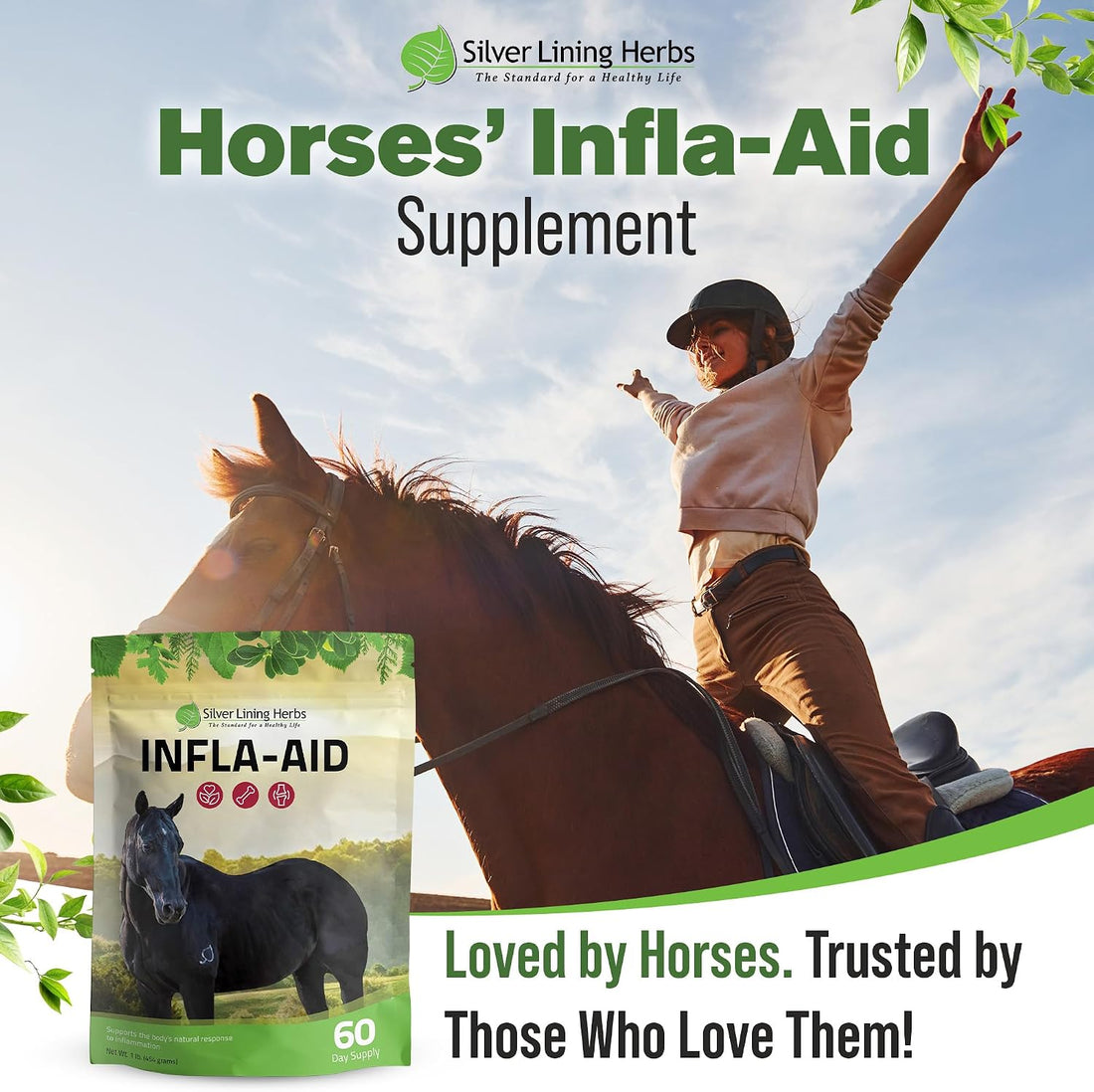 Silver Lining Herbs Infla-Aid Inflammation Relief Supplement - 1 lb