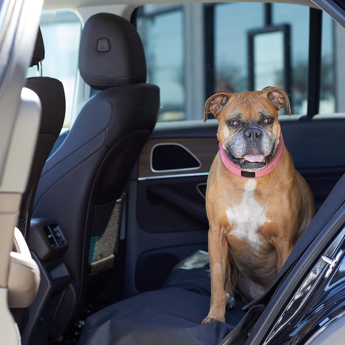 Waterproof Dog Car Seat Cover, Scratch Proof Protector for Pet