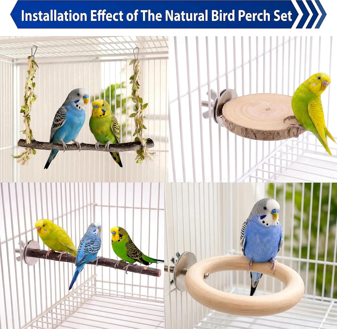 4-in-1 Bird Perches for Cage, Natural Wood Stands for Small Parrots