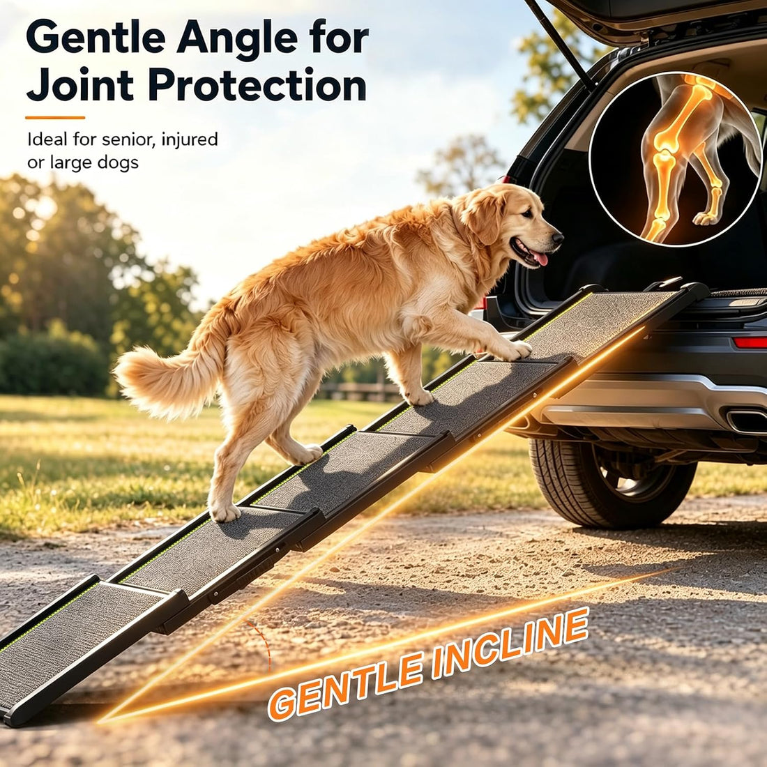 Dog Ramp for Car with Telescoping Design