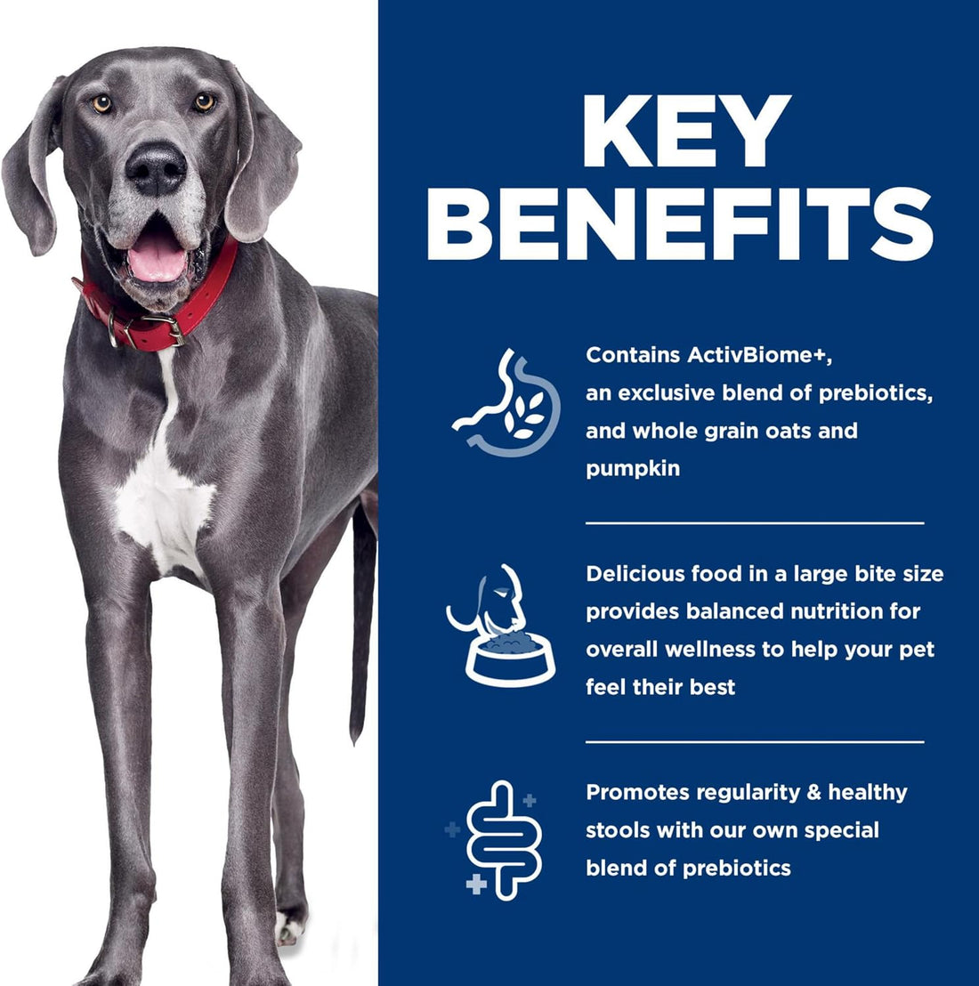 Hill's Science Diet Perfect Digestion Large Breed Dry Dog Food