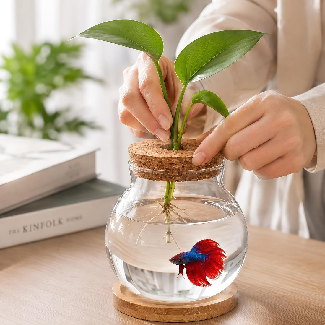 Healifty Desktop Fish Bowl, Glass Hydroponic Planter Tank Kit 5. 1 X