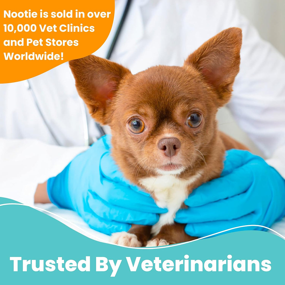 Nootie Medicated Dog Wipes, 2% Chlorhexidine and 2% Miconazole