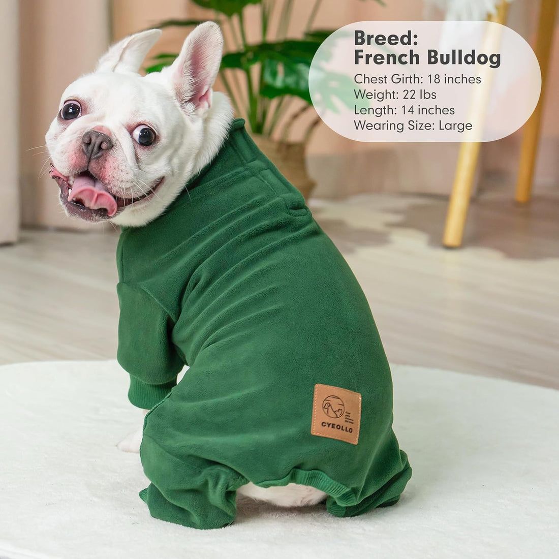cyeollo Dog Pajamas Medium, Stretchable Fleece Pet Onesie Coat
