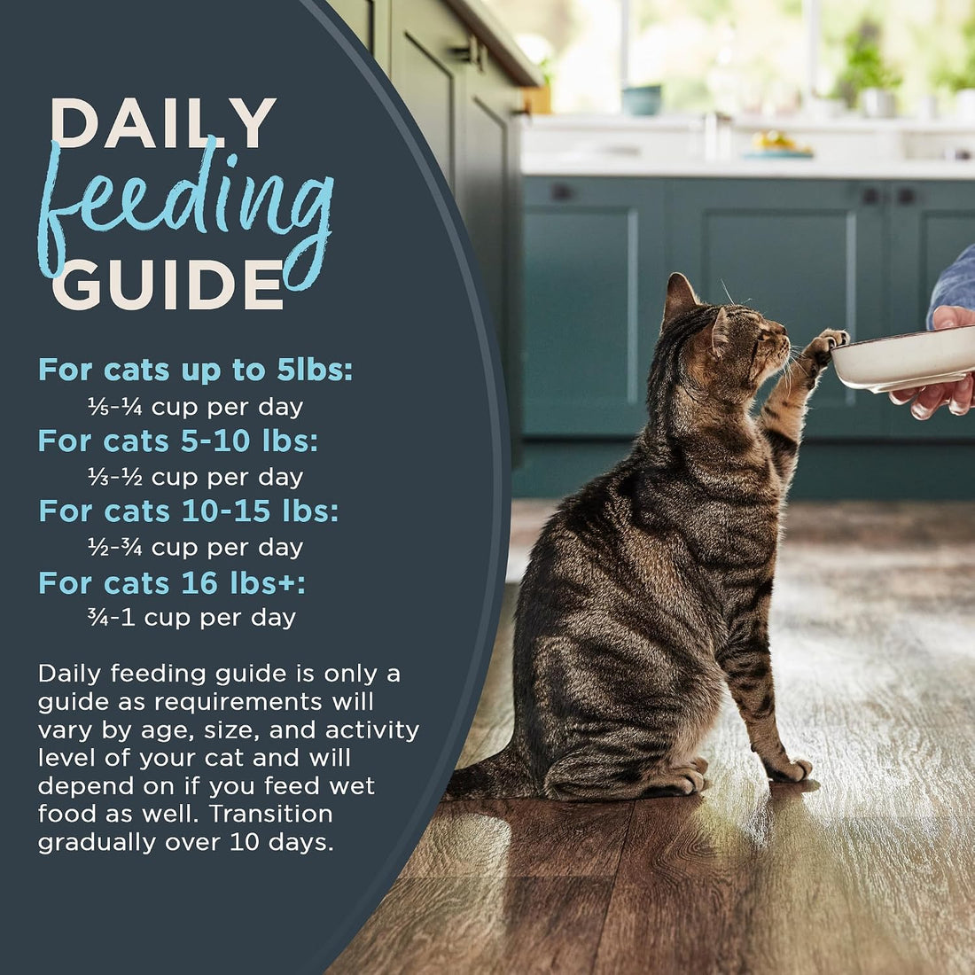 Reveal Whitefish Grain Free Complete Dry Cat Food 3 lb Bag