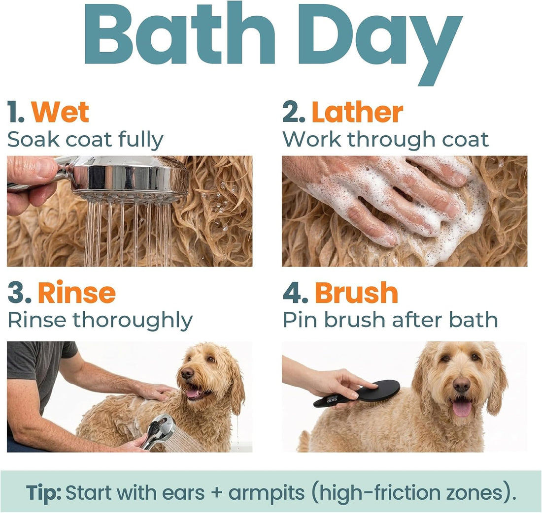 Dog Shampoo & Conditioner for All Breeds – Goldendoodles