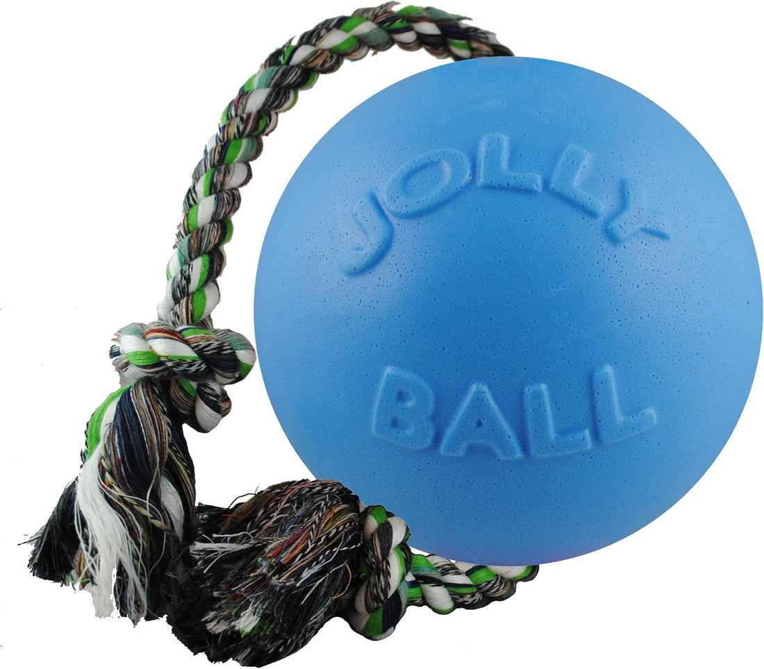 Jolly Pets Romp-N-Roll Rope & Ball Dog Toy, 8 in Large