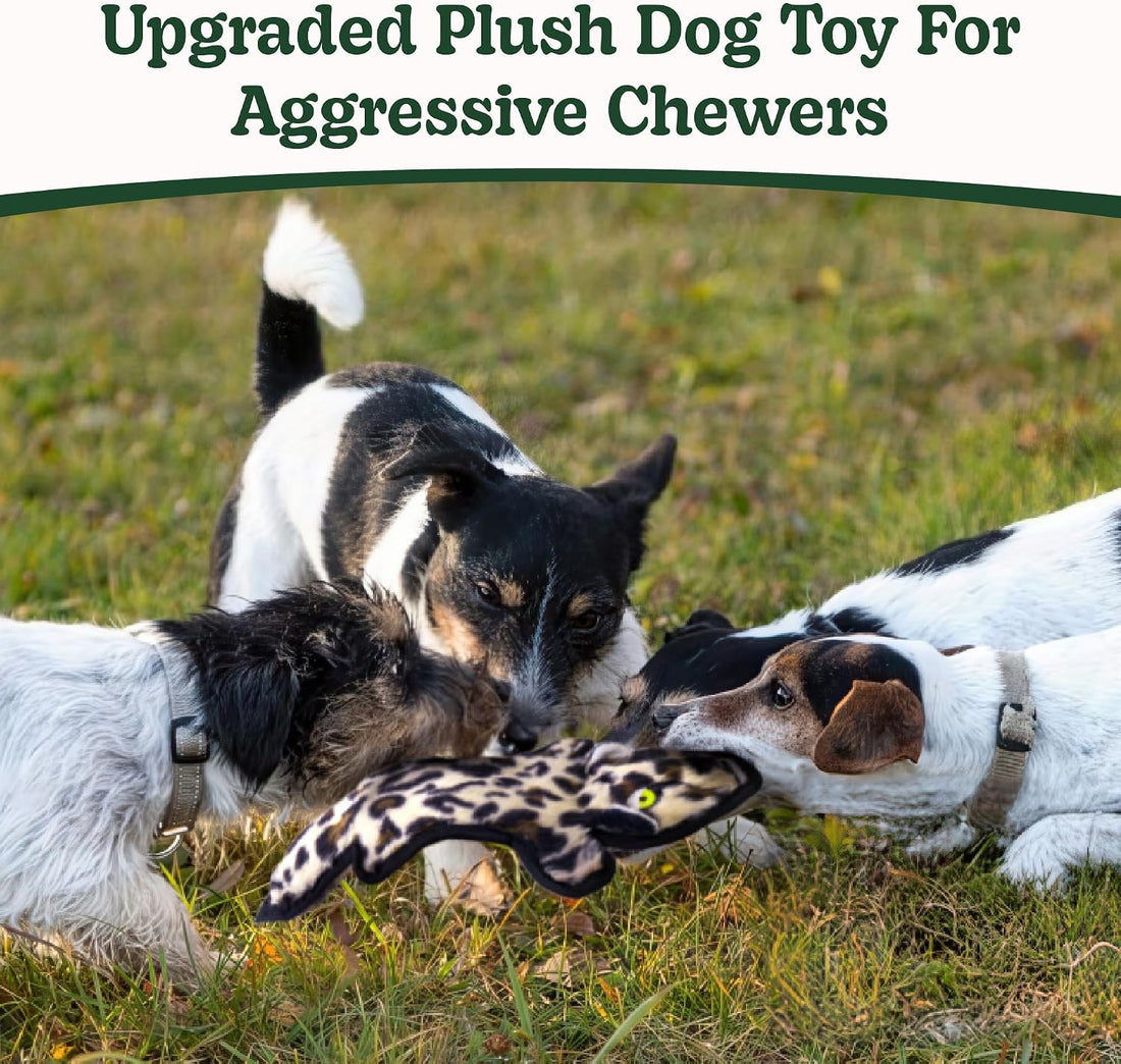 SHARLOVY No Stuffing Dog Toys Crinkle Squeaky