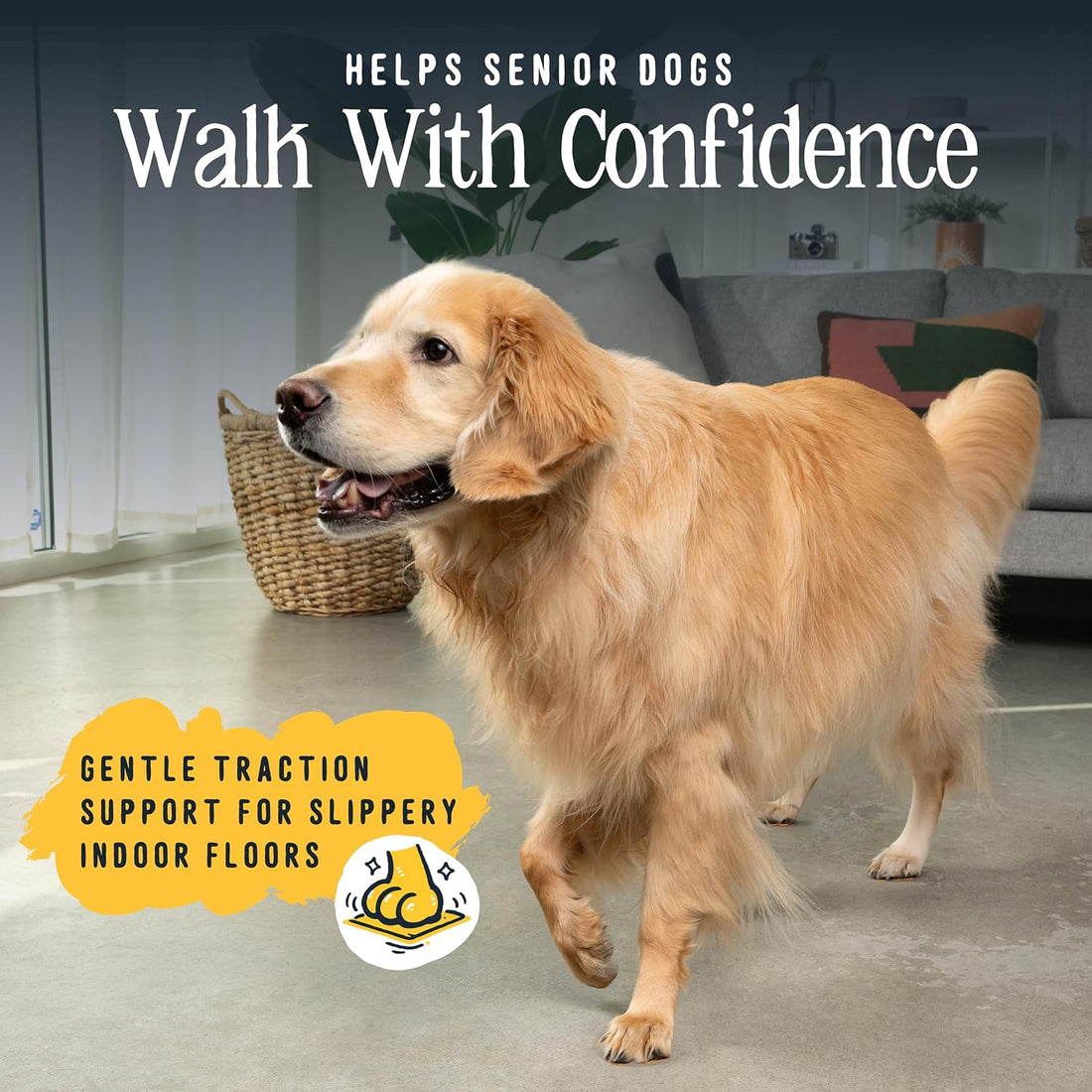 DOK TigerToes Premium Paw Grips for Senior Dogs