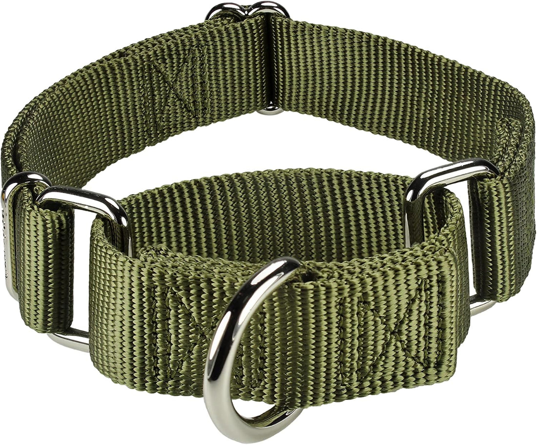 Mikivery Martingale Dog Collar Nylon Adjustable and Safety Training