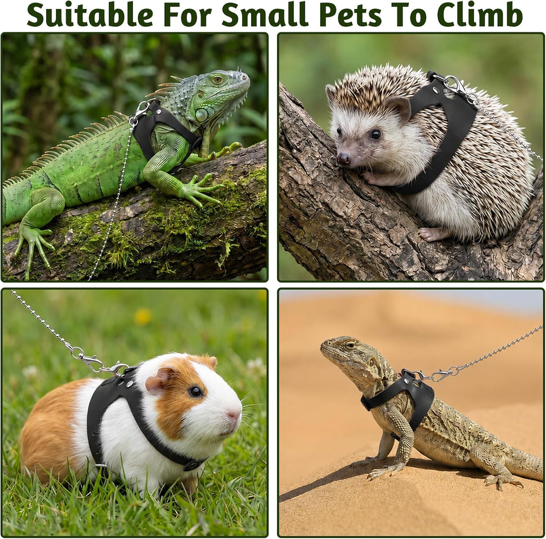 3 Pack Rat Ferret Squirrel Harness and Leash Set