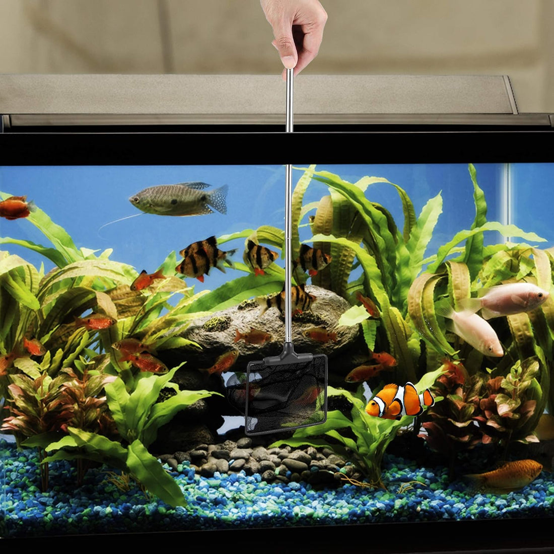 Lpraer Aquarium Fish Net with Extendable Stainless Steel Long Handle