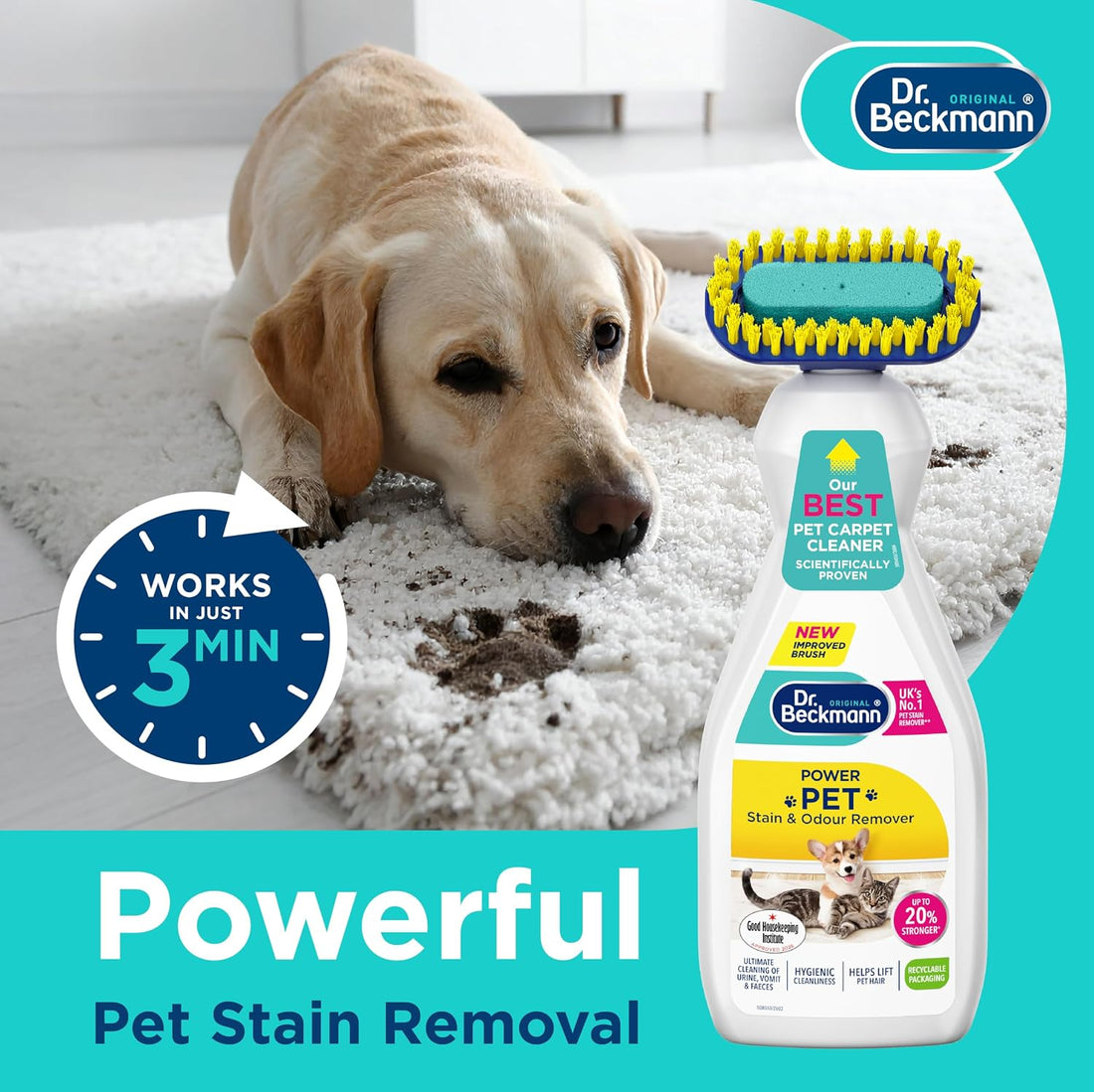 Dr. Beckmann Pet Stain & Odour Remover