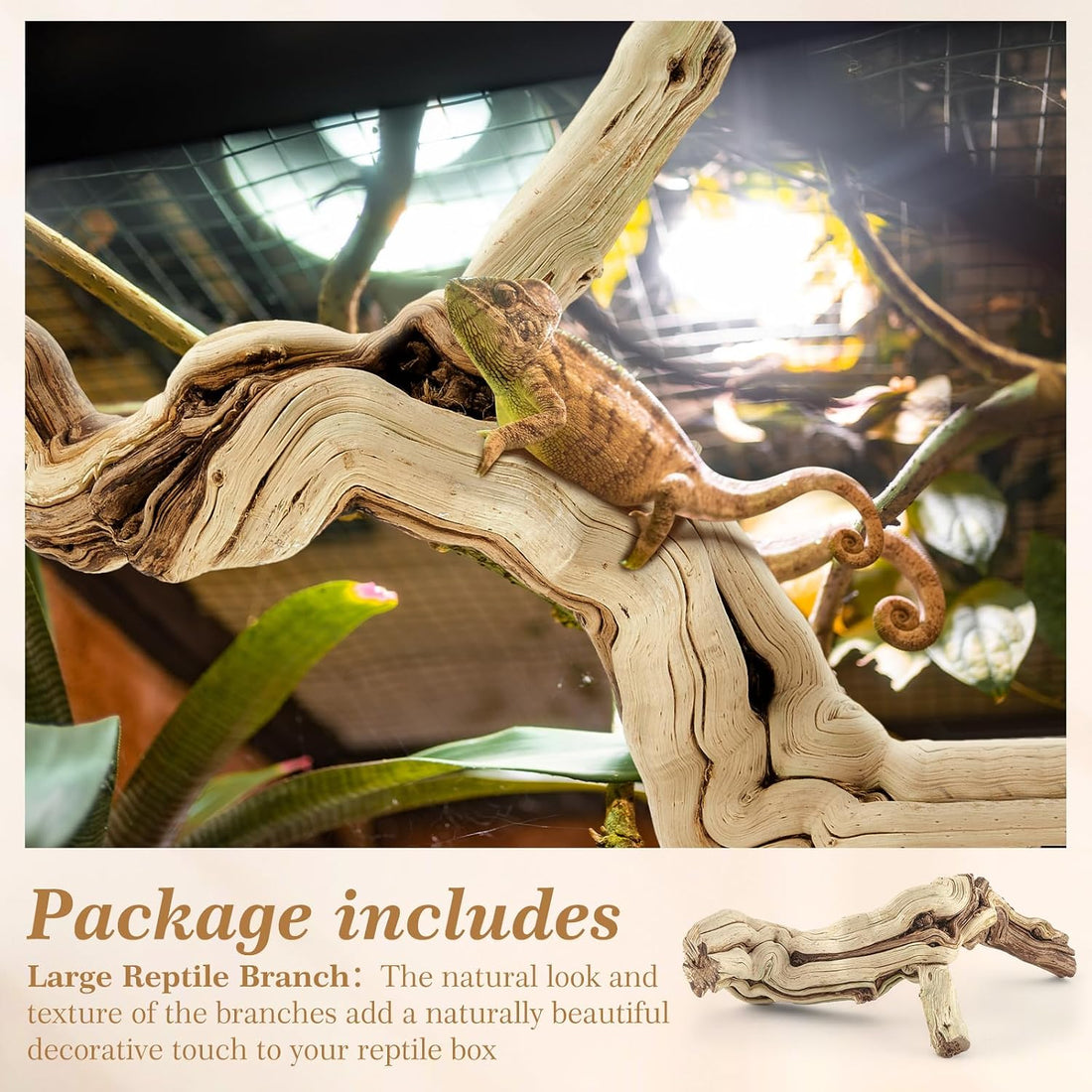 Janinka 14-17" Large Reptile Driftwood Branch for Bearded Dragon Gecko