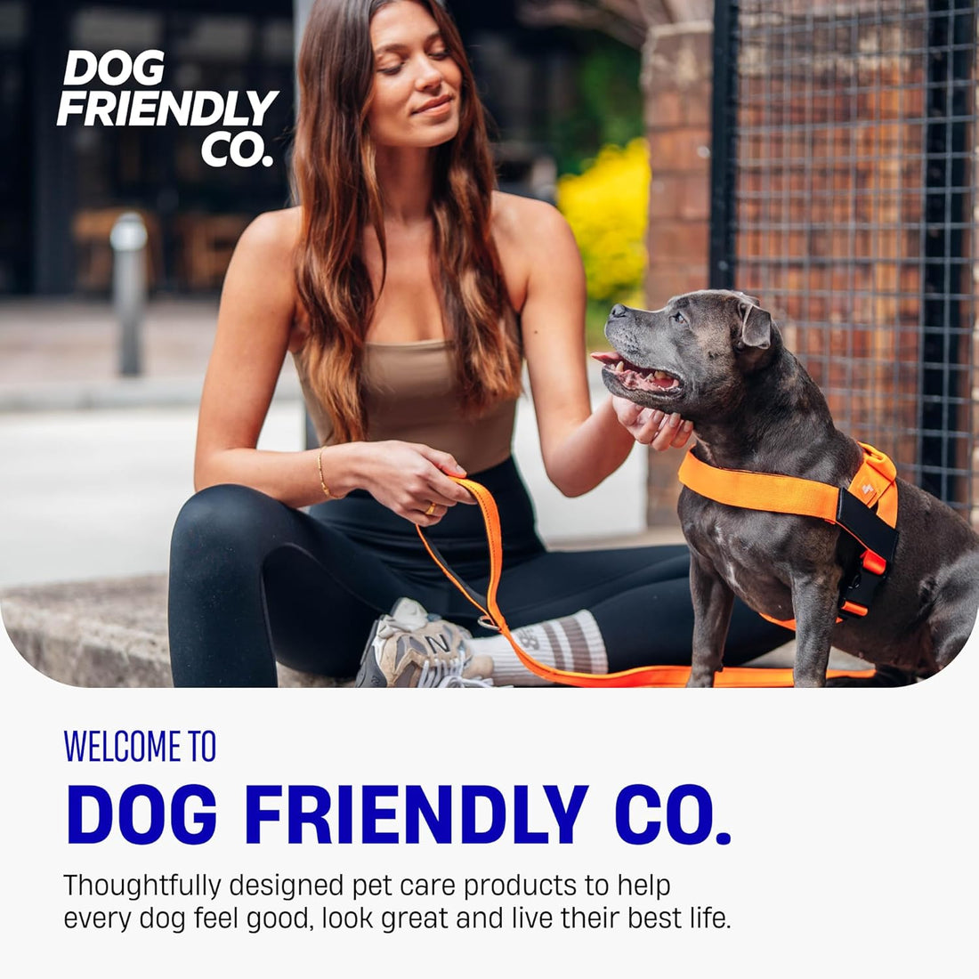 Dog Friendly Co. Bungee Dog Leash, Shock-Resistant