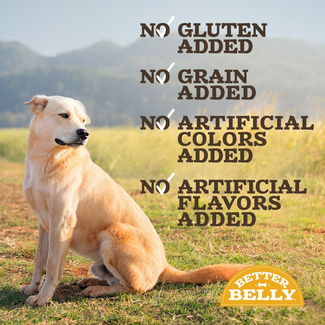 Better Belly Highly Digestible Rawhide Large Roll Chews, 3 Count