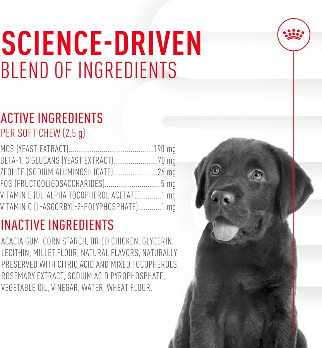Royal Canin Puppy Supplement Soft Chews for Immunity & Digestion