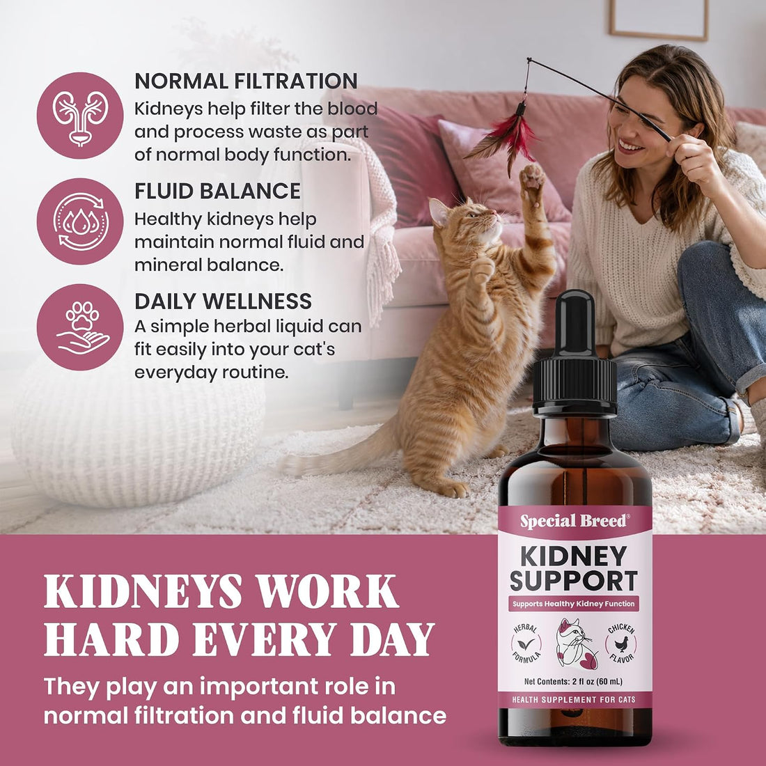 Special Breed Kidney Support for Cats - Rehmannia & Astragalus Liquid