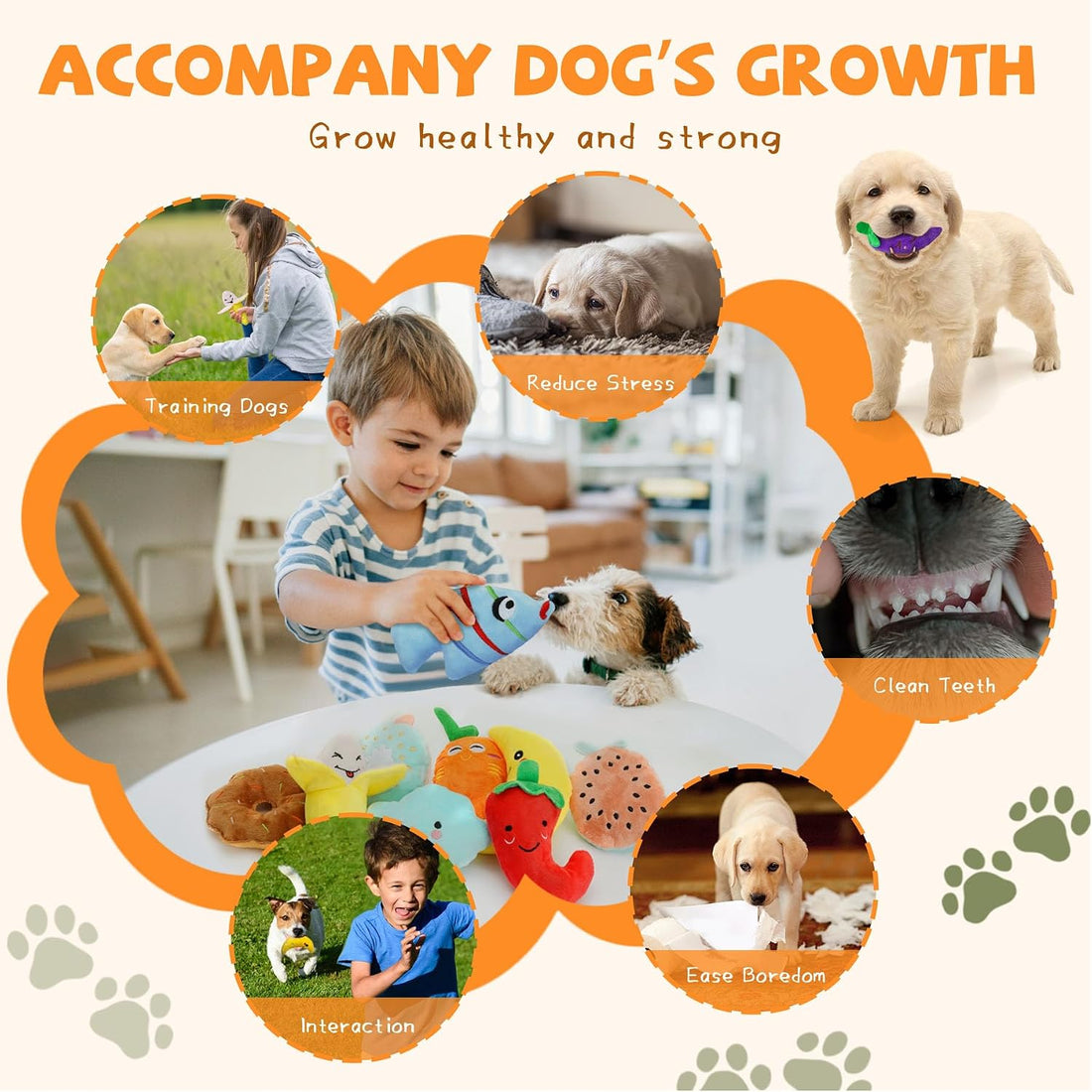 QTwoof Cheerful 20-Pack Squeaky Dog Toys Set - Included 4 Dog Bags