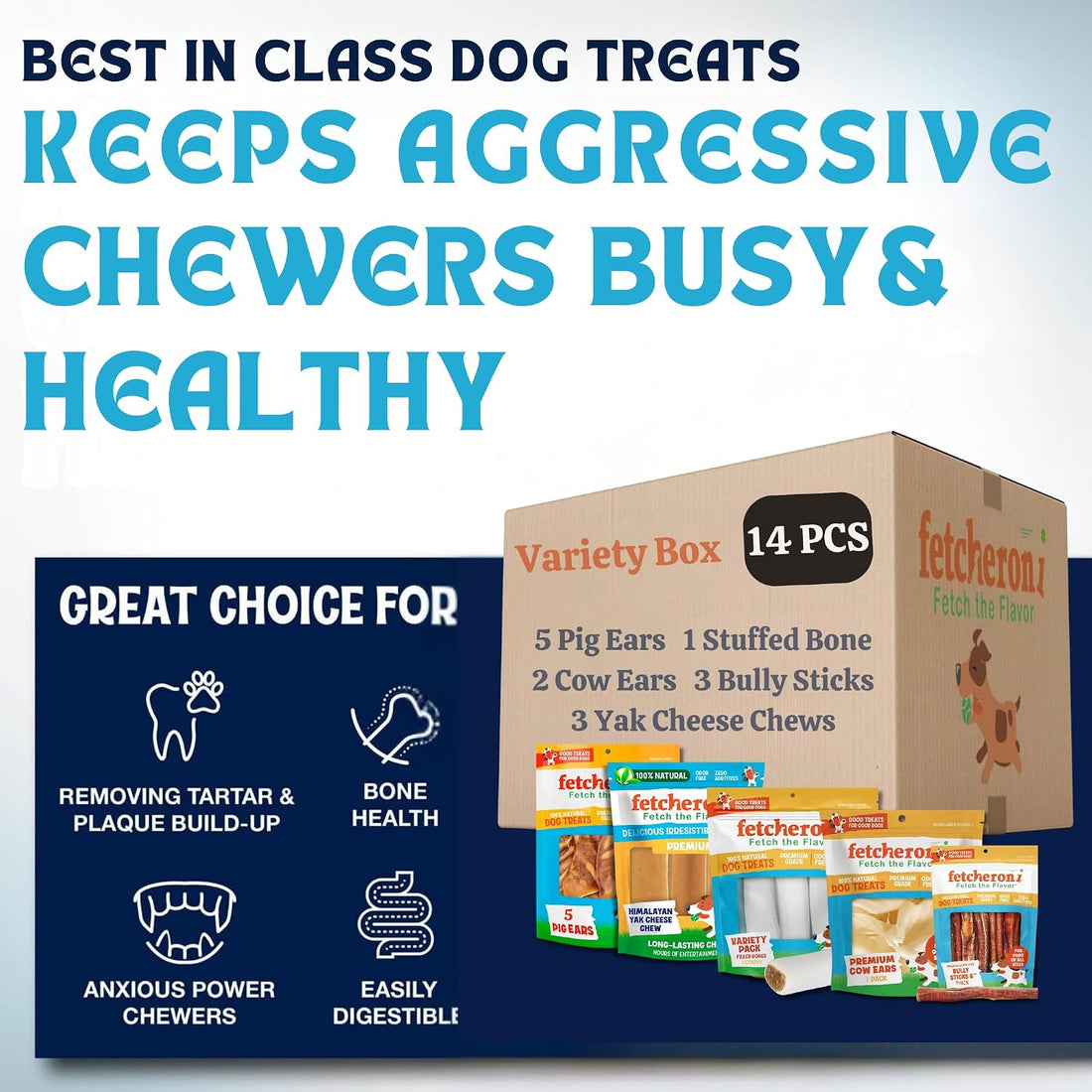 FETCHERONI Dog Treat Variety Box - Long Lasting Dog Chew Treats