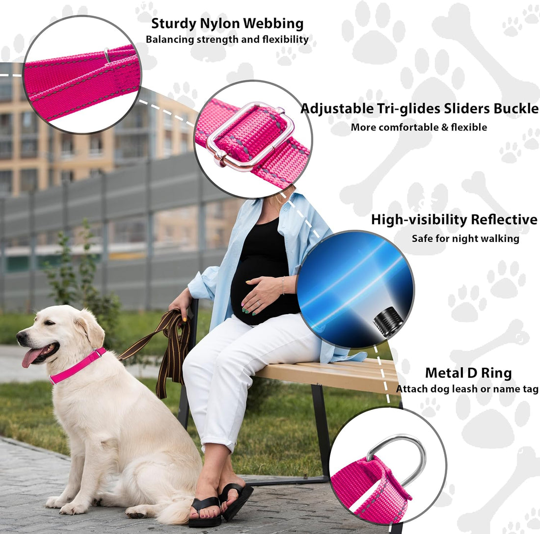 Seyezo Martingale Dog Collar - Adjustable No Buckle Slip Collar,XS