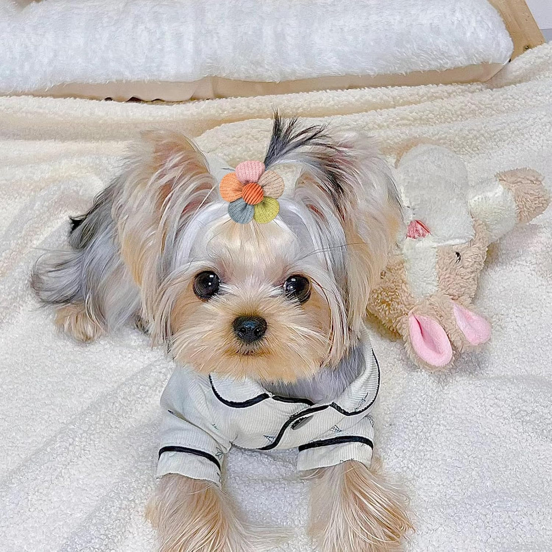 FGISAR 20 Pcs Small Dog Hair Bows with Rubber Bands Handmade Puppy