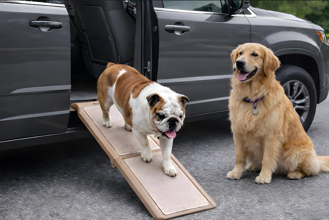 Pet Gear SupertraX Ramps for Dogs and Cats