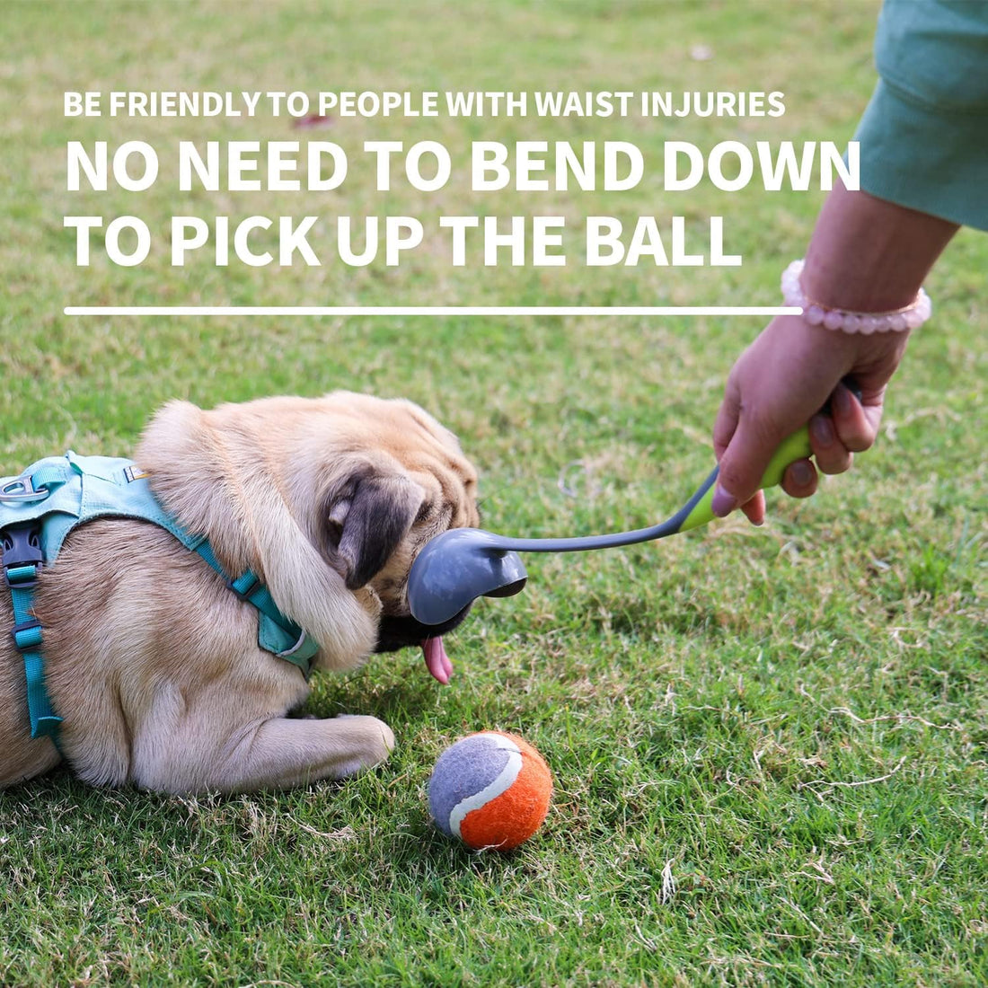 PAWISE Dog Ball Launcher for Small & Medium Dogs