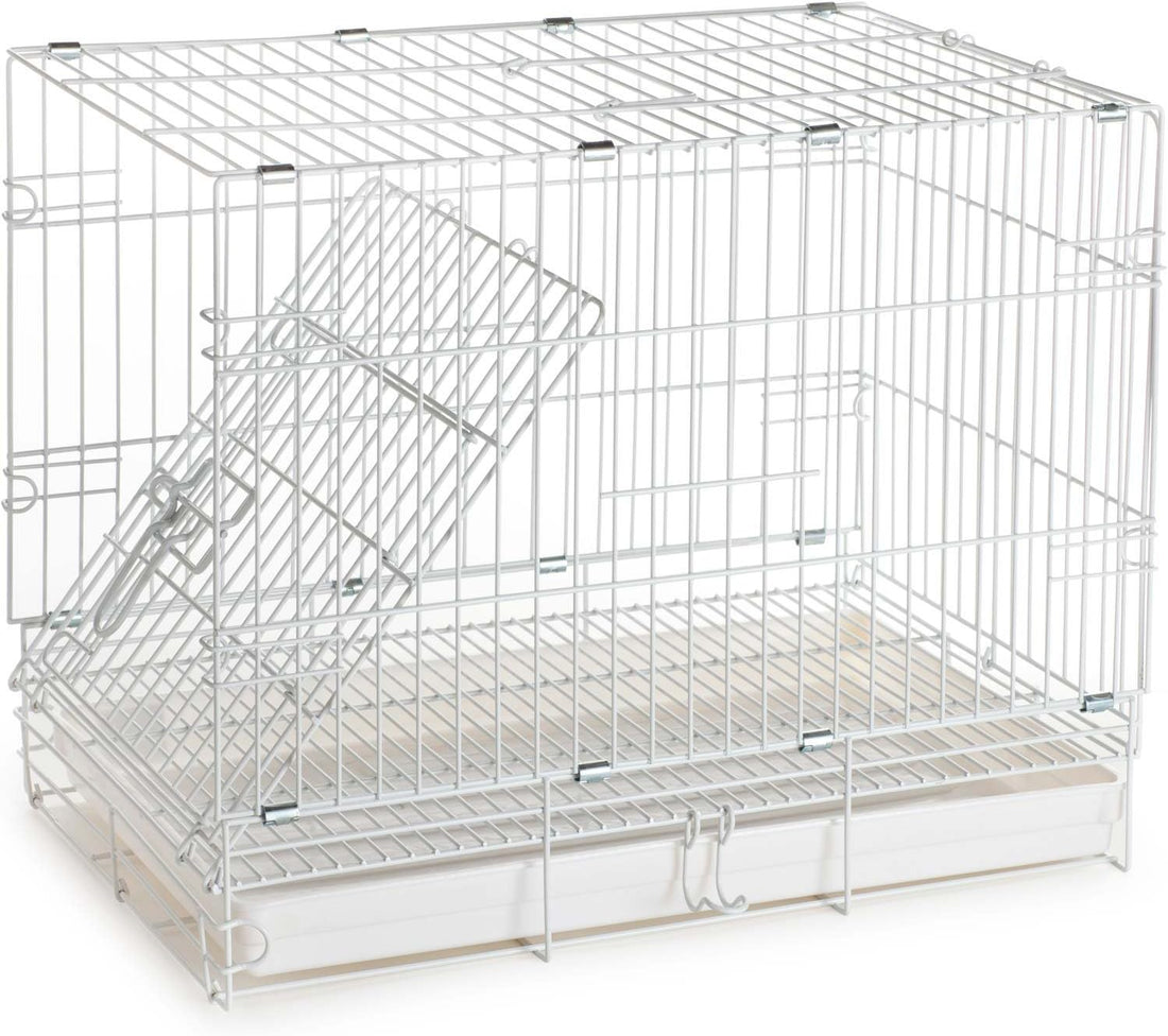 Large Easy Portable Durable Metal Travel/Veterinary Parrot Bird